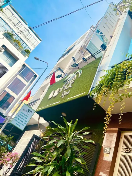 Tin tức